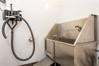 Pet washing area
